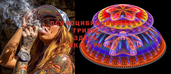 дживик Майский