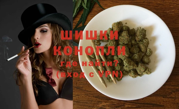 дживик Майский