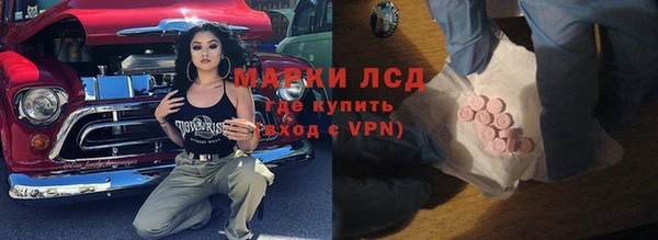 дживик Майский