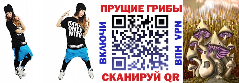 Купить где  Инза  Галлюциногенные грибы прущие грибы 