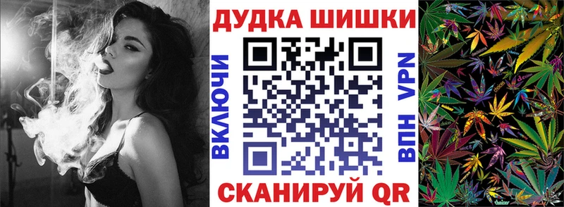 Купить где  Инза  Конопля ГИДРОПОН 
